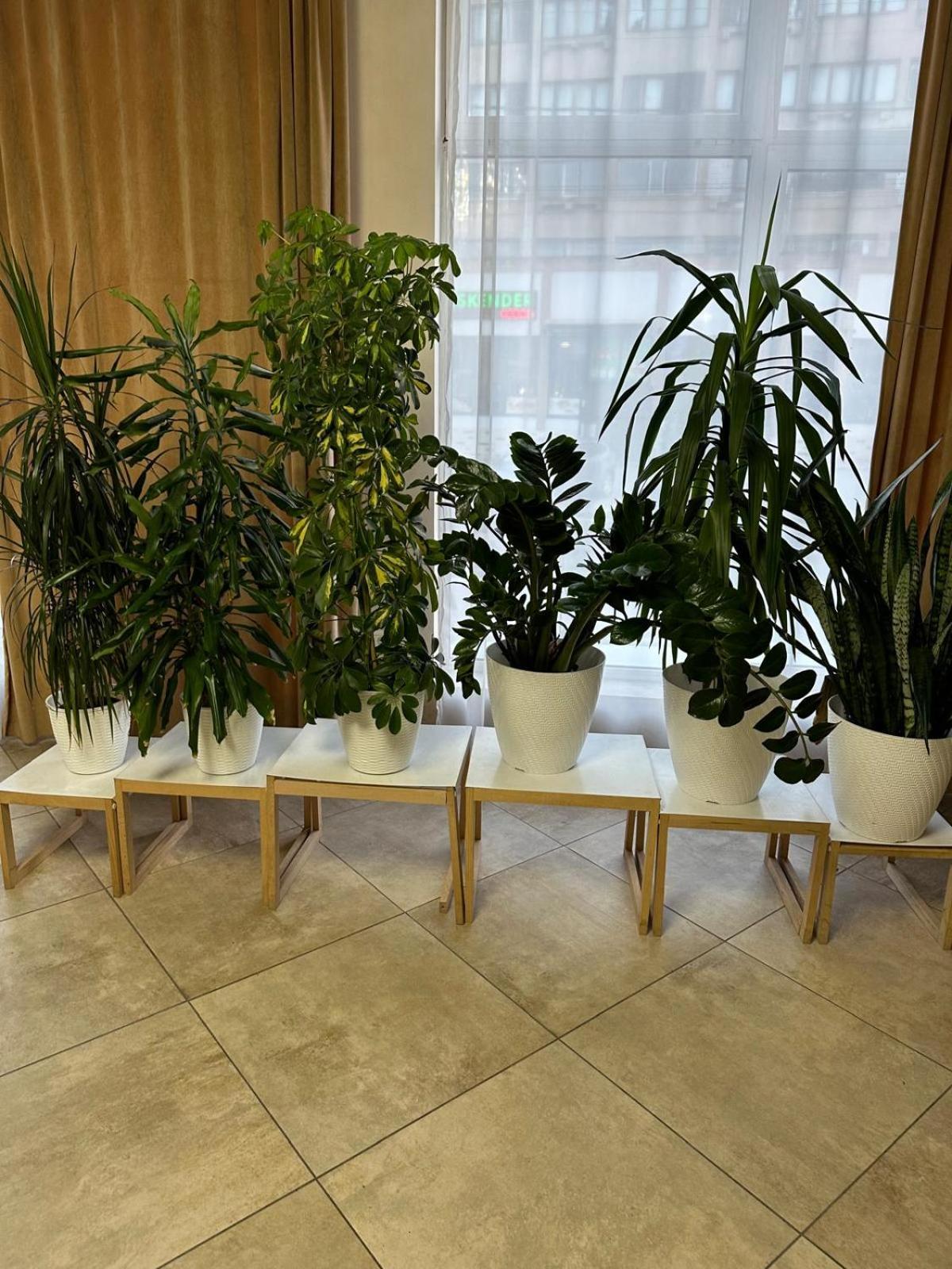 Pensiunea Balea Cîmpeni エクステリア 写真